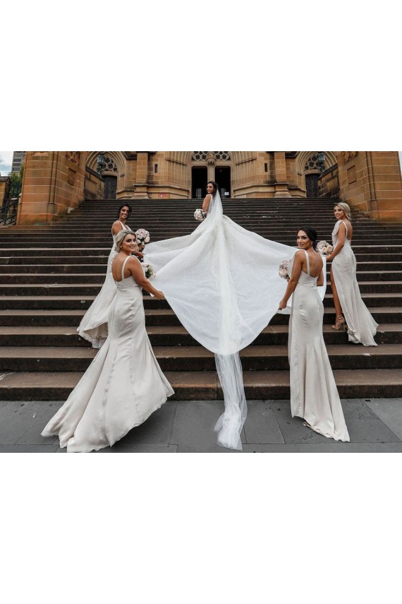 Soft Chiffon A-Line Long Sleeveless Low Back Bridesmaid Dress Cairns