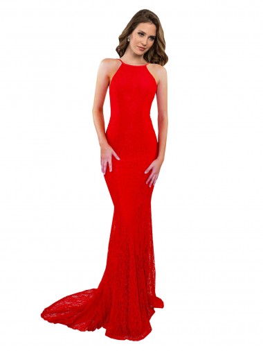 Lace Mermaid Long Sleeveless Open Back Evening Gown / Prom Dress / Bridesmaid Dress Cairns