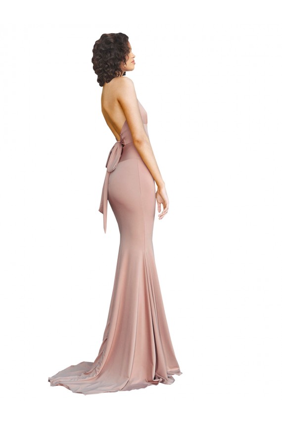 Spandex Mermaid Long Sleeveless Low Back Formal Evening Gown / Prom Dress / Bridesmaid Dress Cairns